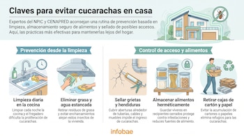 Infografía con seis ilustraciones que muestran limpieza de cocina, eliminación de grasa, sellado de grietas, almacenamiento de alimentos y retirada de cajas de cartón.