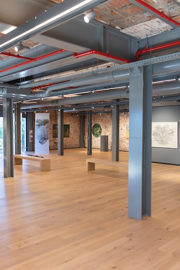 El Museo de Arte Contemporáneo de Corrientes, nueva sede