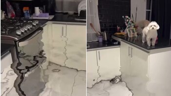 Virales- Inundación