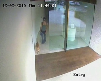 Phoebe Handsjuk crímenes reales femicidio