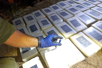 Gendarmes hallaron 136 kilos de cocaína en la cabina de la aeronave siniestrada, distribuidos en 42 paquetes dentro de bolsas de arpillera
