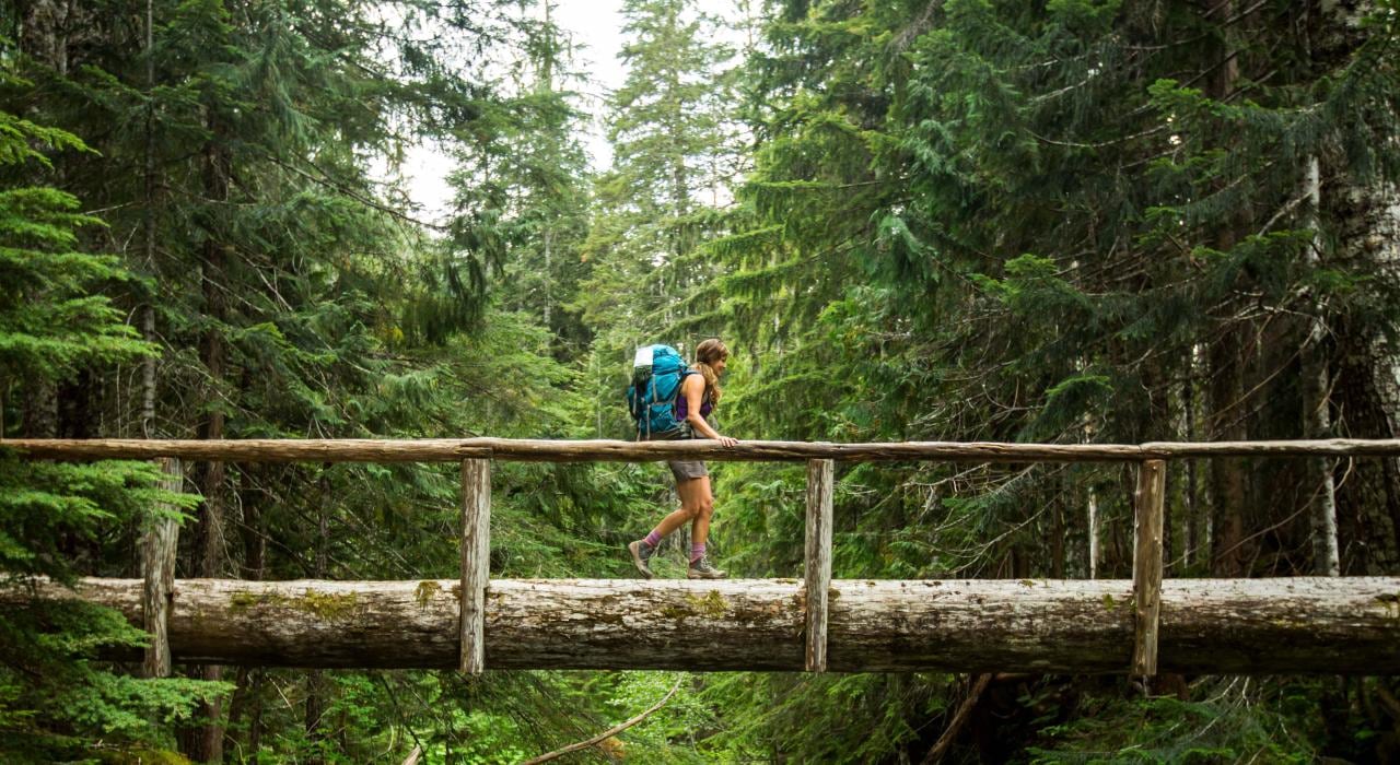 El Parque Nacional Olímpico de Washington registró la muerte de un joven por desoír advertencias y salirse del sendero seguro en una zona rocosa. (Visit The USA)