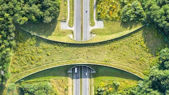 OPAMSS impulsa corredores verdes y