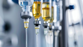 El apoyo económico se otorgará