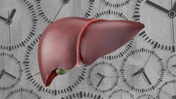 Ayuno prolongado: ¿qué tan bueno