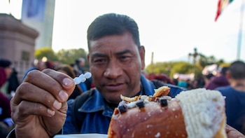 ¿Qué se debe hacer con