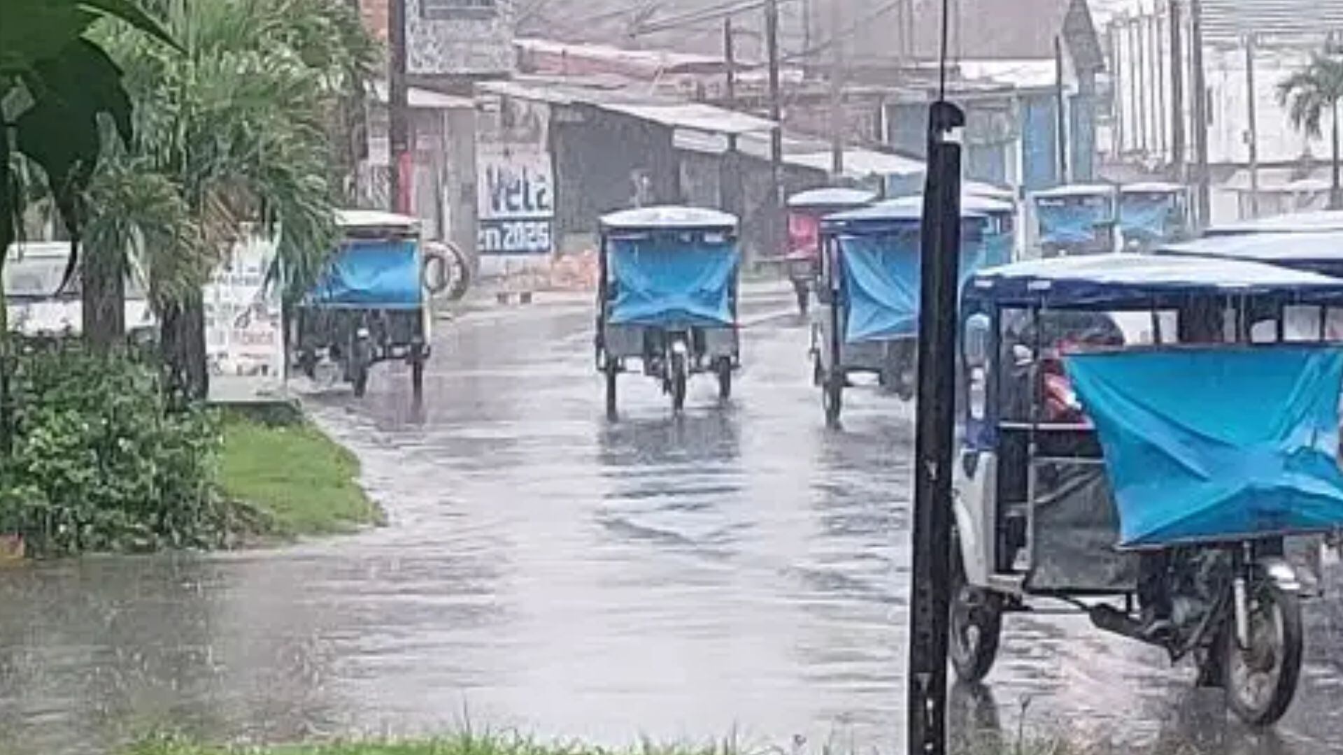 El Senamhi pronostica lluvias de moderada a fuerte intensidad en la selva central y sur del país entre el 24 y el 26 de diciembre, acompañadas de descargas eléctricas y ráfagas de viento de hasta 45 km/h - Créditos: Andina.