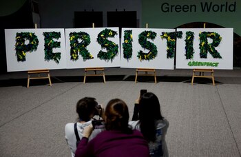 Pancartas de Greenpeace con la