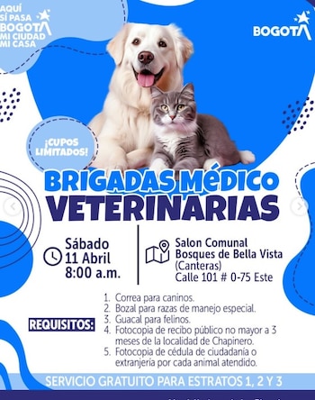 Mascotas con agenda propia: atención veterinaria y adopciones gratis aterrizan en el norte de Bogotá - crédito @alcaldiachapinero/IG