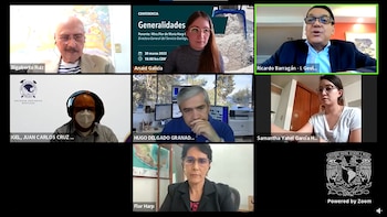 Flor de María Harp, titular