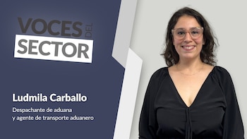 Despachante de aduana: el rol