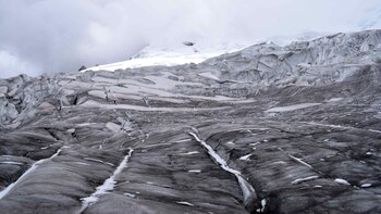 Perú ha perdido el 56,22