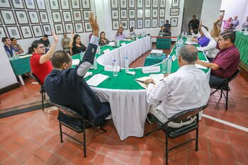 En la sesión del Ayuntamiento