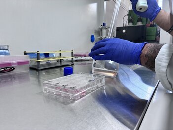 Archivo: Laboratorio de la Unidad