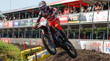 Hofer era una de las