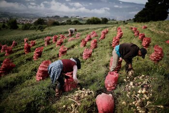 A través de la Coordinadora