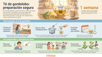 Infografía ilustrando la preparación segura del té de gordolobo, con imágenes de ingredientes, proceso de ebullición y filtrado, límites de consumo y advertencias.