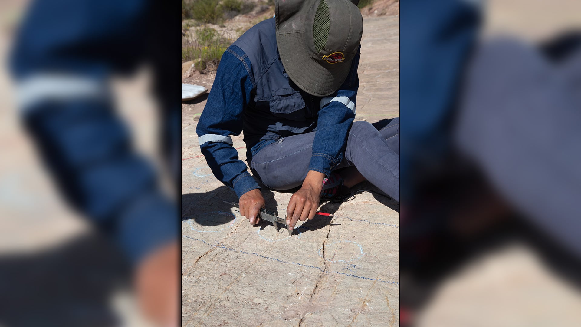 El sitio presenta huellas de terópodos carnívoros y saurópodos herbívoros, aunque las especies exactas aún no se han identificado. (Universidad de Loma Linda)