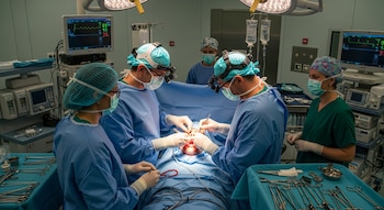 La cirugía ortognática, que enfrentará Ochoa, es un procedimiento que corrige deformidades y fracturas en los huesos maxilares - crédito Visuales IA