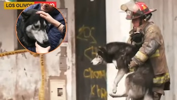 Bomberos salvan a perro atrapado