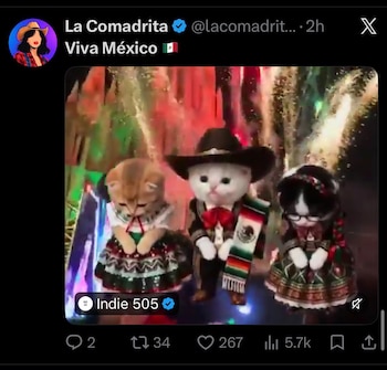 (captura de pantalla)