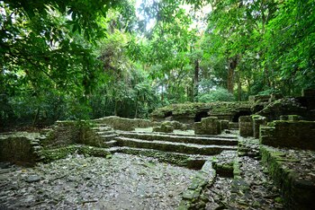 El aforo máximo en el