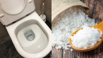 Sal gruesa en el inodoro.