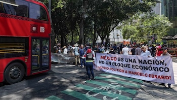 Bloqueos en carreteras y accidentes hoy miércoles 20 de mayo: animalistas cierran carril en Insurgentes Sur por ‘franciscanitos’