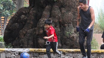 Autoridades advirtieron que los niños