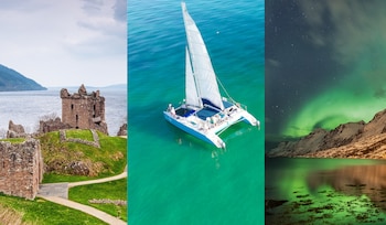 Según la plataforma de alquiler