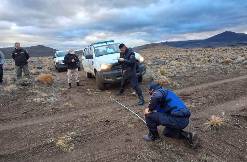 La Policía de Río Negro detuvo a un cazador furtivo que transportaba ciervos y un arma de fuego sin autorización