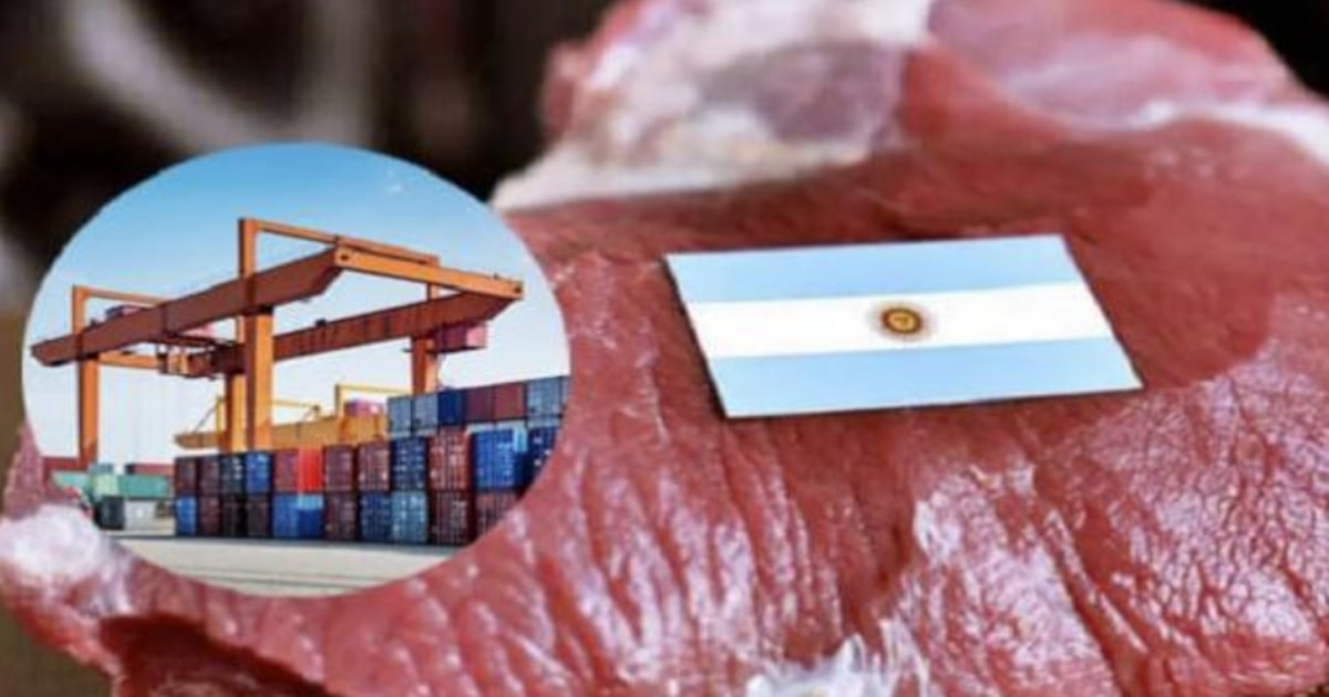 Exportaciones de carne vacuna: leve mejora mensual, fuerte caída interanual - Infobae