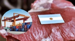 Crece la exportación de carne vacuna