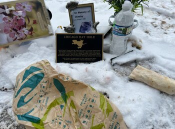 Su origen protagoniza un acalorado