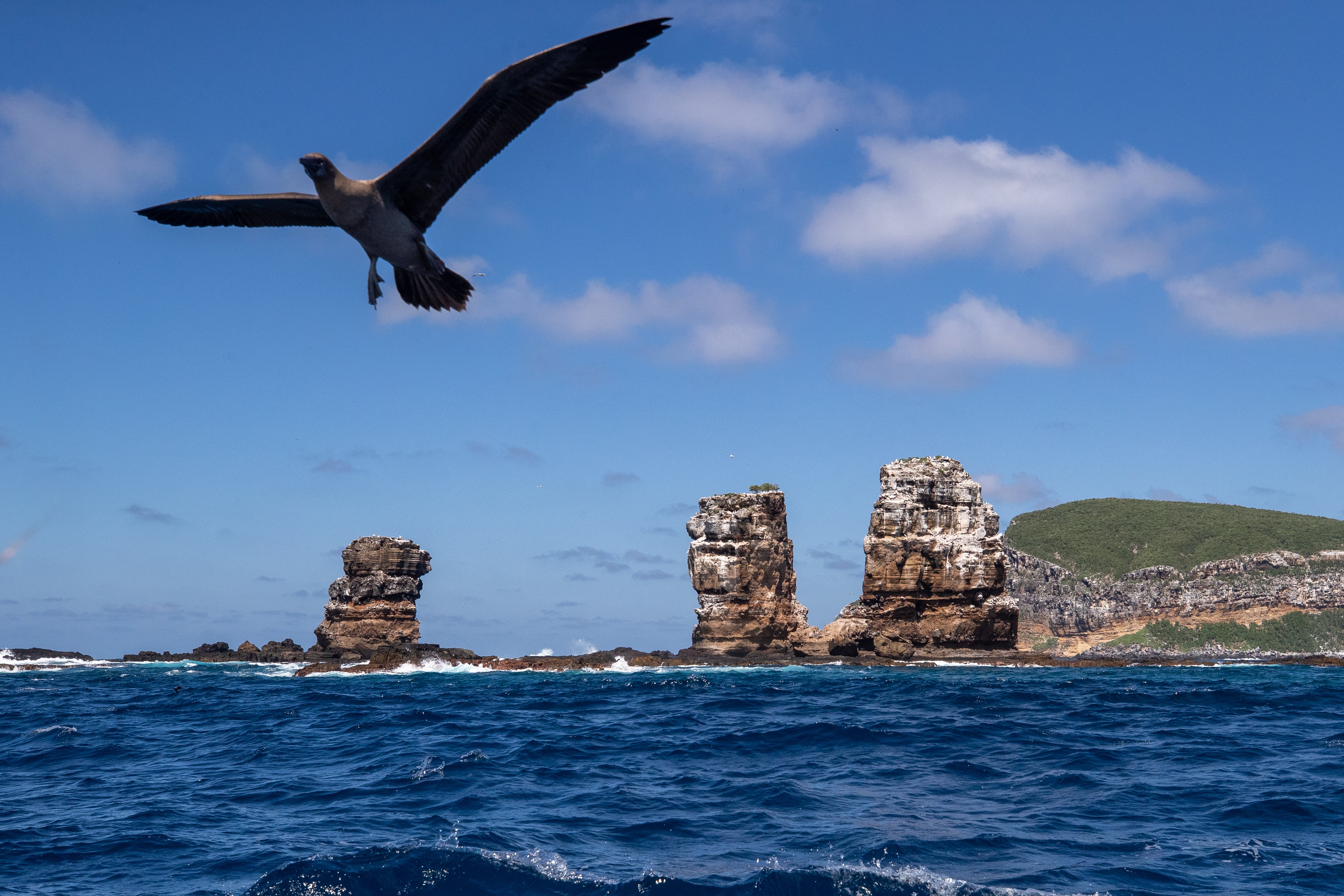 Fotografía de archivo de la isla Darwin, la más al norte del archipiélago Galápagos (Ecuador). EFE/José Jácome