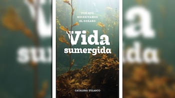 Portada de "Vida sumergida", de