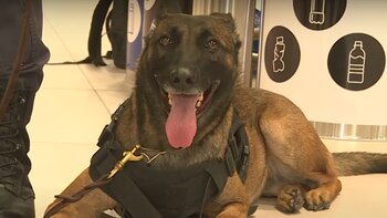 Nuevo Aeropuerto Jorge Chávez: unidad