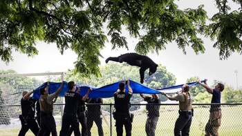 Un gran oso atrapado en