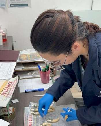 El golpe al mercado negro