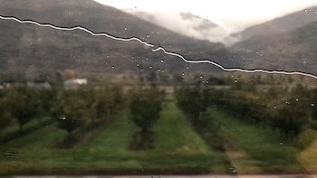 “Train”, de Jorge Macchi y