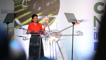 Vicepresidenta impulsa la diversificación de
