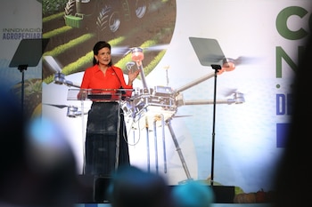 Nuevas alianzas entre el Estado