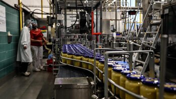 Una fábrica de mostaza, en