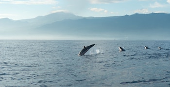 Día Mundial de los Océanos - Océanos – Perú – noticias – 8 junio