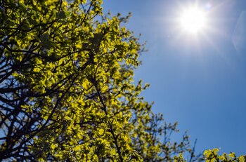 Pasar tiempo al aire libre