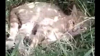 Video: mujer imploró por ayuda