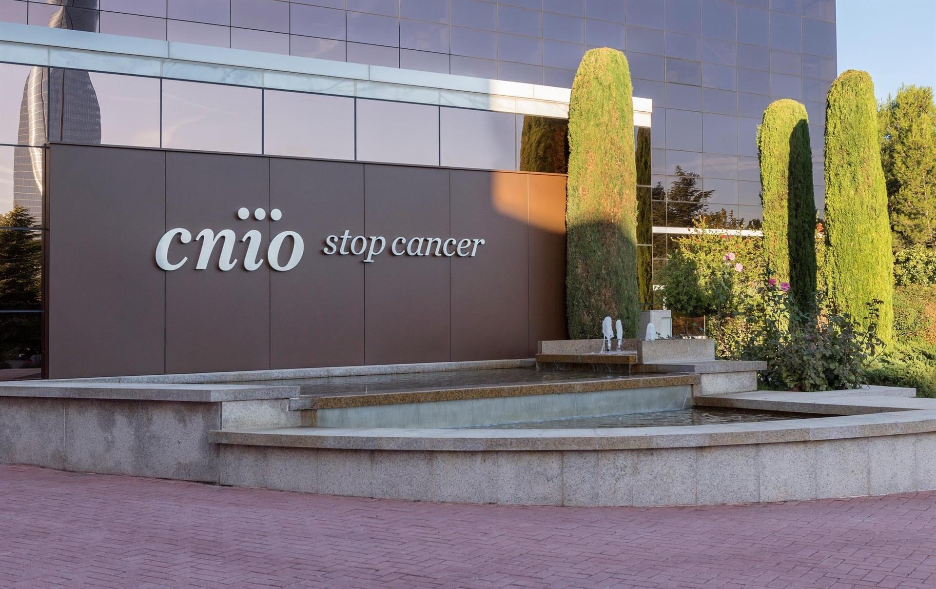El Tribunal de Cuentas detecta deficiencias e irregularidades en la actividad contractual del CNIO