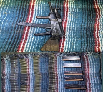 Lo hallado por lo agentes