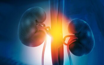 La diabetes tipo 2 y enfermedad renal crónica presentan un doble impacto en la salud cardíaca