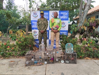 En materia ambiental, la Armada recuperó más de 3.000 especímenes de fauna silvestre y capturó a 61 personas por delitos contra recursos naturales - crédito ARC